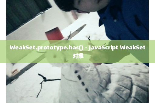 WeakSet.prototype.has() - JavaScript WeakSet 对象