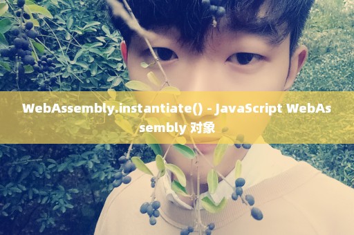 WebAssembly.instantiate() - JavaScript WebAssembly 对象