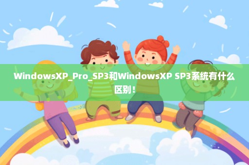 WindowsXP_Pro_SP3和WindowsXP SP3系统有什么区别！