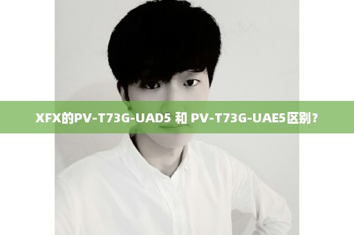 XFX的PV-T73G-UAD5 和 PV-T73G-UAE5区别？