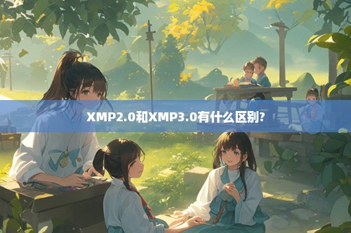XMP2.0和XMP3.0有什么区别?