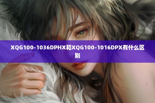 XQG100-1036DPHX和XQG100-1016DPX有什么区别
