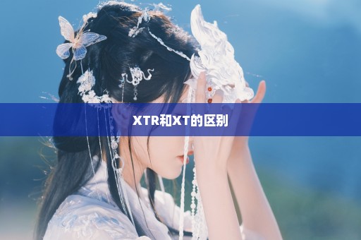 XTR和XT的区别