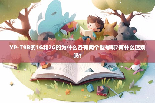 YP-T9B的1G和2G的为什么各有两个型号啊?有什么区别吗？
