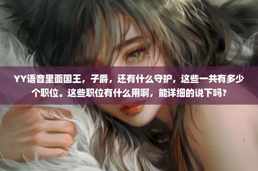 YY语音里面国王，子爵，还有什么守护，这些一共有多少个职位。这些职位有什么用啊，能详细的说下吗？