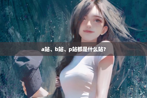 a站、b站、p站都是什么站？