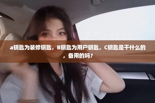 a钥匙为装修钥匙，B钥匙为用户钥匙，C钥匙是干什么的，备用的吗？