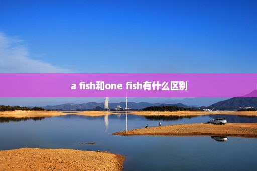 a fish和one fish有什么区别