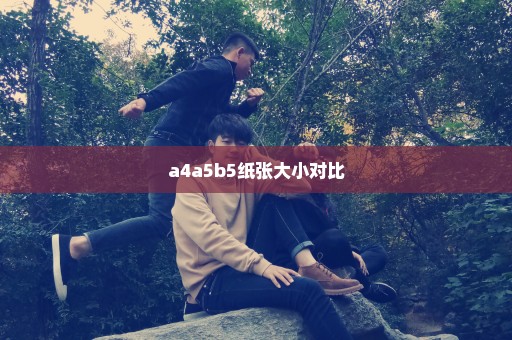 a4a5b5纸张大小对比