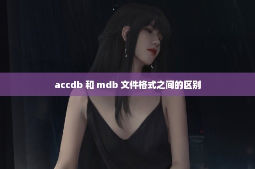 accdb 和 mdb 文件格式之间的区别