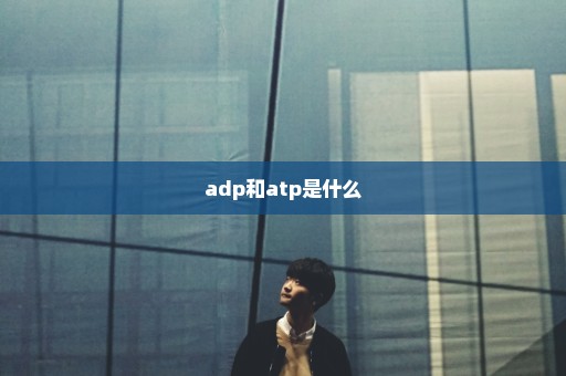 adp和atp是什么