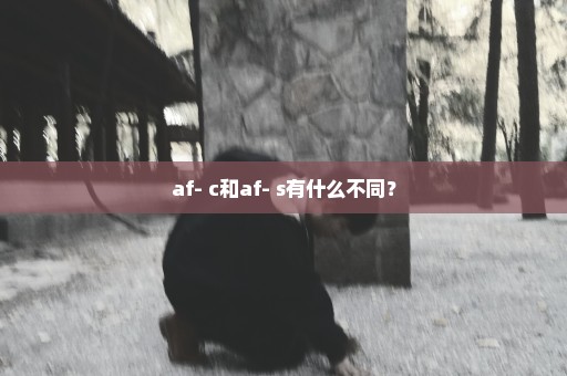 af- c和af- s有什么不同？