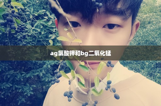 ag氯酸钾和bg二氧化锰
