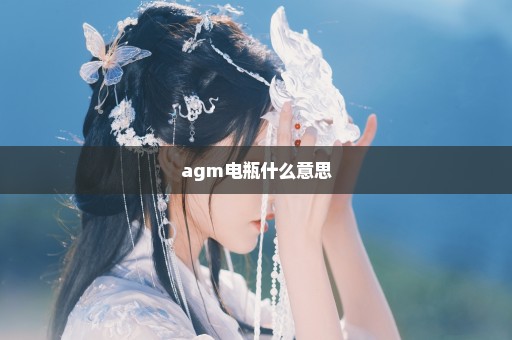 agm电瓶什么意思