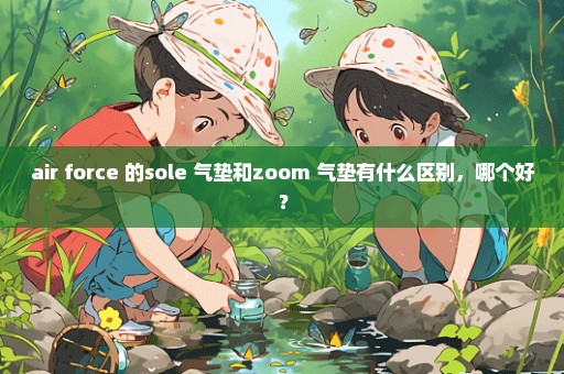 air force 的sole 气垫和zoom 气垫有什么区别，哪个好？