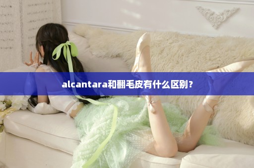 alcantara和翻毛皮有什么区别？