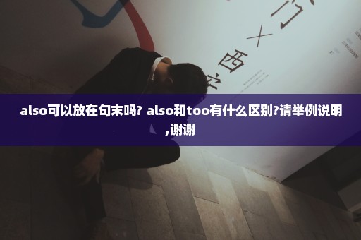 also可以放在句末吗? also和too有什么区别?请举例说明,谢谢