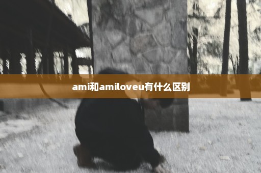 ami和amiloveu有什么区别