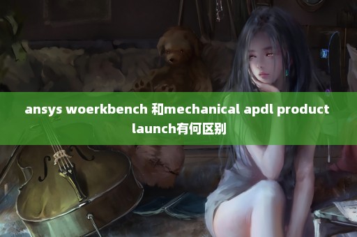 ansys woerkbench 和mechanical apdl product launch有何区别
