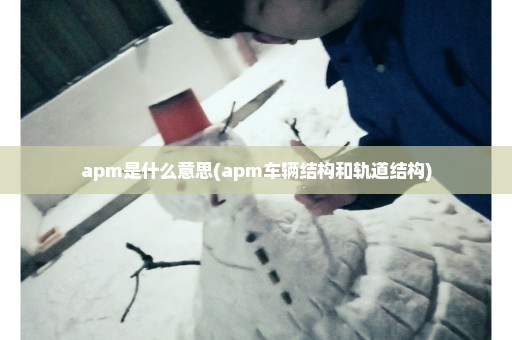 apm是什么意思(apm车辆结构和轨道结构)