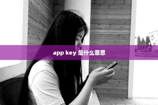 app key 是什么意思