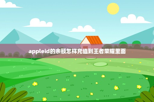 appleid的余额怎样充值到王者荣耀里面