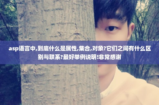 asp语言中,到底什么是属性,集合,对象?它们之间有什么区别与联系?最好举例说明!非常感谢