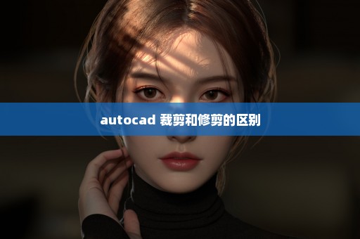 autocad 裁剪和修剪的区别