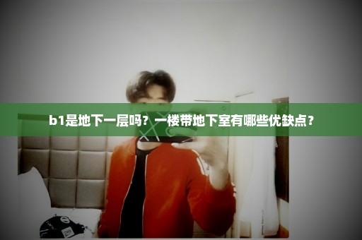b1是地下一层吗？一楼带地下室有哪些优缺点？