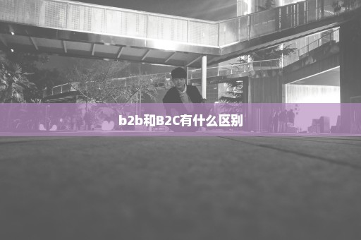 b2b和B2C有什么区别