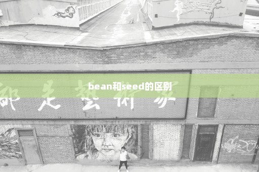 bean和seed的区别