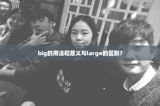 big的用法和意义与large的区别？