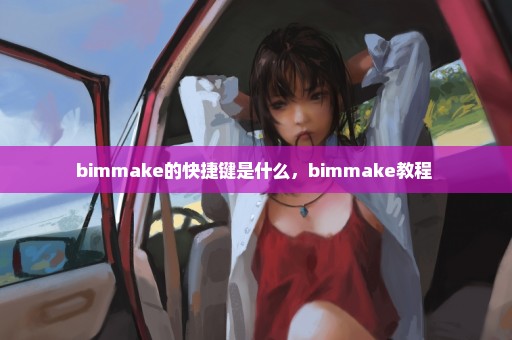 bimmake的快捷键是什么，bimmake教程 