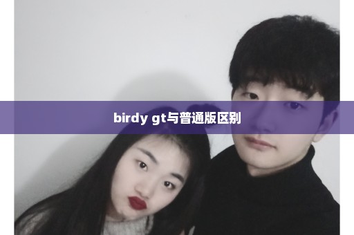 birdy gt与普通版区别