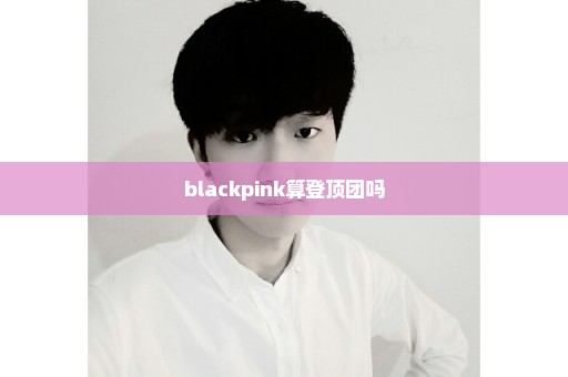 blackpink算登顶团吗
