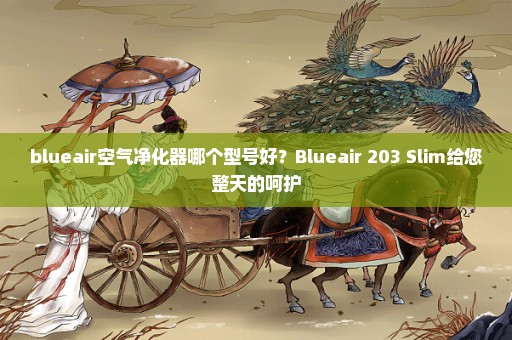 blueair空气净化器哪个型号好？Blueair 203 Slim给您整天的呵护