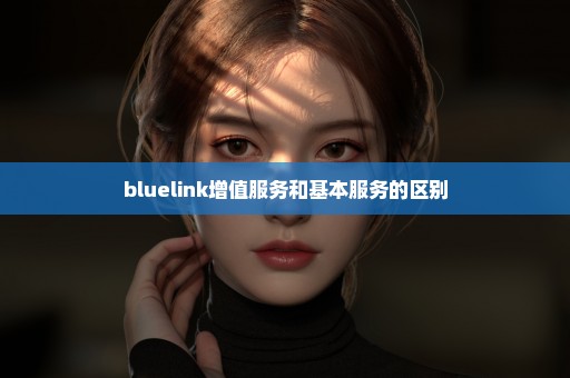bluelink增值服务和基本服务的区别
