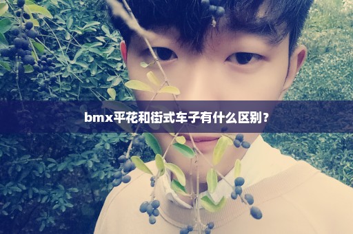 bmx平花和街式车子有什么区别？