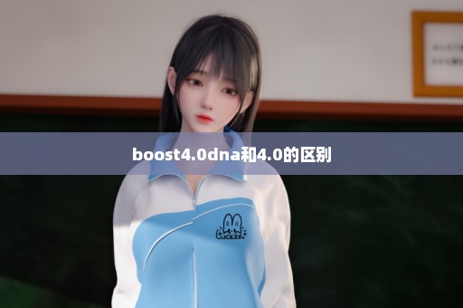 boost4.0dna和4.0的区别