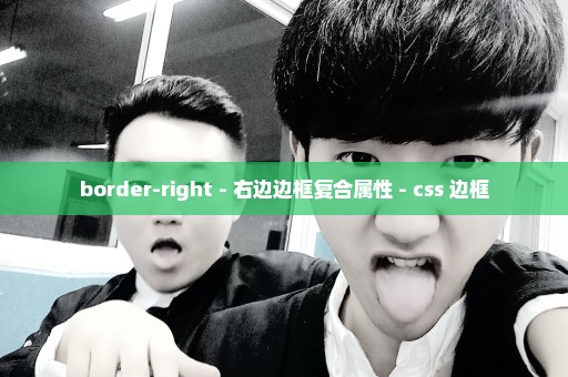 border-right - 右边边框复合属性 - css 边框