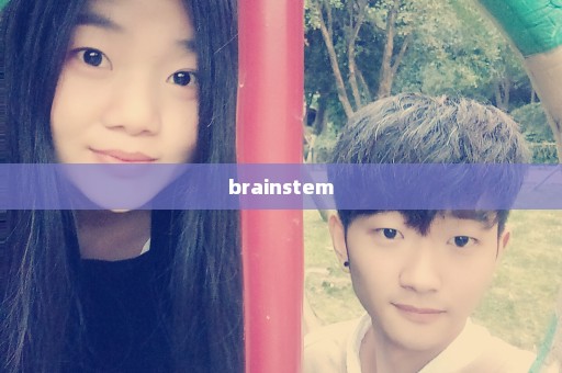 brainstem