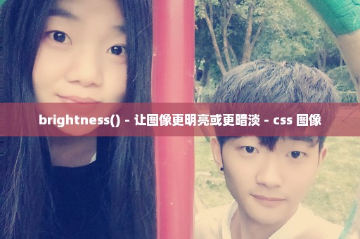 brightness() - 让图像更明亮或更暗淡 - css 图像