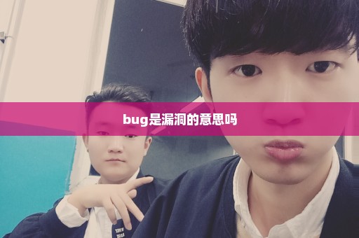 bug是漏洞的意思吗
