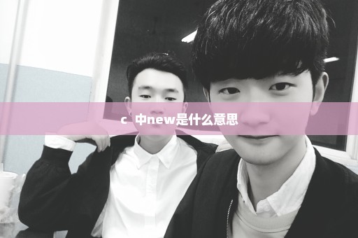 c++中new是什么意思