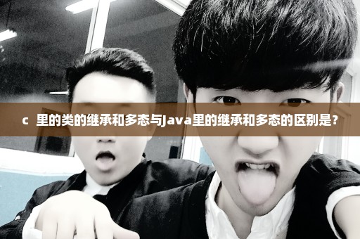 c++里的类的继承和多态与Java里的继承和多态的区别是？