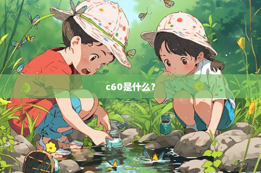 c60是什么？
