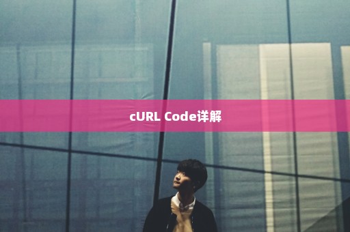 cURL Code详解