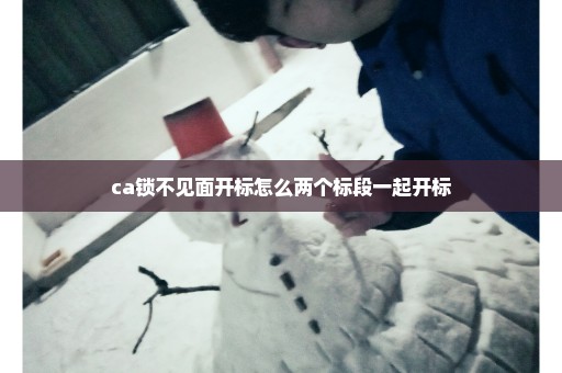 ca锁不见面开标怎么两个标段一起开标