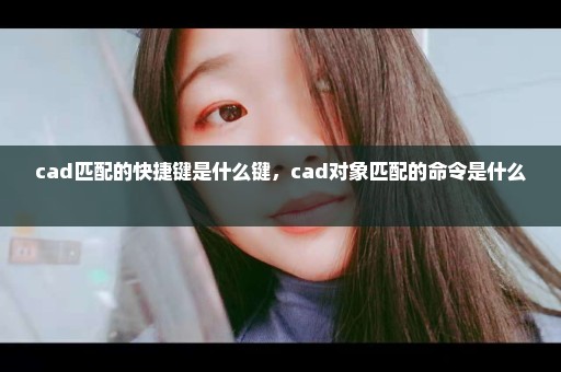 cad匹配的快捷键是什么键，cad对象匹配的命令是什么 