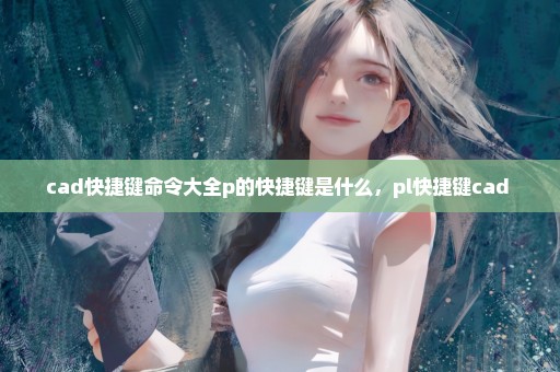 cad快捷键命令大全p的快捷键是什么，pl快捷键cad 